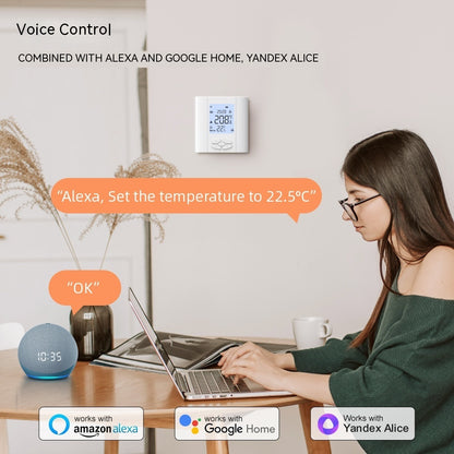 Graffiti Smart Thermostat Valve Actuator gas Boiler